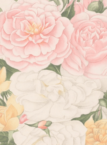 RHS Hampton Court Palace Flower Show Preview